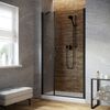 Душевая дверь Vegas Glass EP-F-2 LUX 110 02М 07 R профиль черный матовый, стекло графит. Размер регулировки 109-112 см.