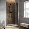 Душевая дверь Vegas Glass EP-F-2 LUX 120 02М 07 L профиль черный матовый, стекло графит. Размер регулировки 119-122 см.