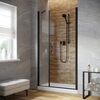 Душевая дверь Vegas Glass EP-F-2 LUX 125 02М crystalvision R профиль черный матовый, стекло crystalvision. Размер регулировки 124-127 см.