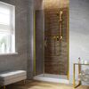 Душевая дверь Vegas Glass EP-F-2 LUX 145 09 07 R профиль золото глянцевое, стекло графит. Размер регулировки 144-147 см.