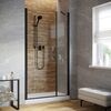 Душевая дверь Vegas Glass EP-F-2 LUX 155 02М crystalvision L профиль черный матовый, стекло crystalvision. Размер регулировки 154-157 см.