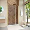 Душевая дверь Vegas Glass EP-F-2 NOVO h2000 105 03 05 L профиль золото матовое, стекло бронза. Размер регулировки 102-107 см.