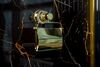 Бумагодержатель Boheme AURA 10241-G Gold