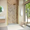 Душевая дверь Vegas Glass EP-F-2 NOVO 175 03 01 L профиль золото матовое, стекло прозрачное. Размер регулировки 172-177 см.