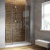 Душевая дверь Vegas Glass EP-2F LUX 165 08 07 L профиль глянцевый хром, стекло графит. Размер регулировки 164-167 см.
