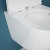 Подвесной унитаз ESBANO ESUPGARD49TW белый
