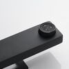 Смеситель для раковины Raffine F0196H, черный
