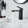 Смеситель для раковины Raffine F0196H, черный