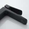 Смеситель для раковины Raffine F0199H, черный