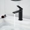 Смеситель для раковины Raffine F0199H, черный