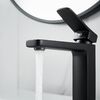 Смеситель для раковины Raffine F0199H, черный