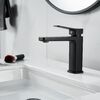 Смеситель для раковины Raffine F0199H, черный