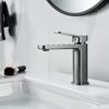 Смеситель для раковины Raffine F0199T, оружейная сталь