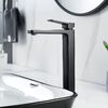 Смеситель для раковины высокий  Raffine F1199H, черный