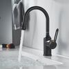 Смеситель для раковины Raffine F101H, черный