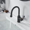 Смеситель для раковины Raffine F101H, черный