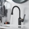 Смеситель для раковины Raffine F101H, черный