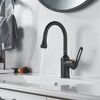 Смеситель для раковины Raffine F101H, черный