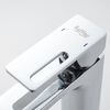 Смеситель для раковины с гигиеническим душем Raffine F171, хром