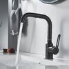 Смеситель для раковины Raffine F201H, черный