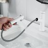 Смеситель для раковины многофункциональный Raffine F281C, белый