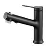 Смеситель для раковины многофункциональный Raffine F281H, черный