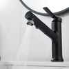 Смеситель для раковины многофункциональный Raffine F281H, черный