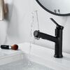 Смеситель для раковины многофункциональный Raffine F281H, черный
