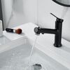 Смеситель для раковины многофункциональный Raffine F281H, черный