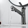 Смеситель для раковины многофункциональный Raffine F281T, оружейная сталь