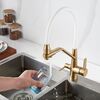 Смеситель для кухни с подключением фильтра воды Rose R558G, матовое золото