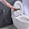 Гигиенический душ со смесителем Rose R235T, оружейная сталь