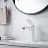 Смеситель для раковины Shevanik S6101C, белый