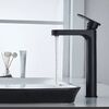 Смеситель для раковины Shevanik S8711H, черный