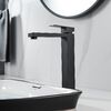Смеситель для раковины Shevanik S9611H, черный