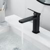 Смеситель для раковины Shevanik S9901H, черный