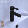Смеситель для раковины OLIVE'S TORRES 17100TRB, черный