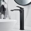 Смеситель для раковины высокий Shevanik S4011H, черный