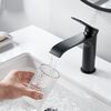 Смеситель для раковины Shevanik S4101H, черный