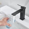 Смеситель для раковины Shevanik S6101H, черный