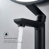 Смеситель для раковины Splenka S05.10.06, черный