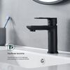 Смеситель для раковины Splenka S05.10.06, черный
