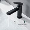 Смеситель для раковины Splenka S50.10.06, черный