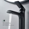 Смеситель для раковины Splenka S50.10.06, черный