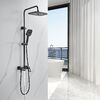 Душевая система Raffine F3696H, черный