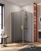 Душевой уголок CEZARES SLIDER-AH-1-100-100/110-GRIGIO-BORO профиль золото матовое, стекло тонированное 100-110x100 см