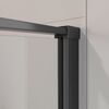 Душевая дверь Cezares LINER-B-12-90-C-NERO-L стекло прозрачное, регулировка 89-90,5 см
