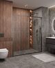 Душевая дверь CEZARES MOLVENO-BF-2-170-C-GM-IV стекло прозрачное, регулировка 167-172 см