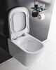 Унитаз подвесной безободковый BelBagno ALBANO BB120CHR/BB120SC
