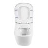 Унитаз подвесной безободковый BelBagno ALBANO BB120CHR/BB120SC